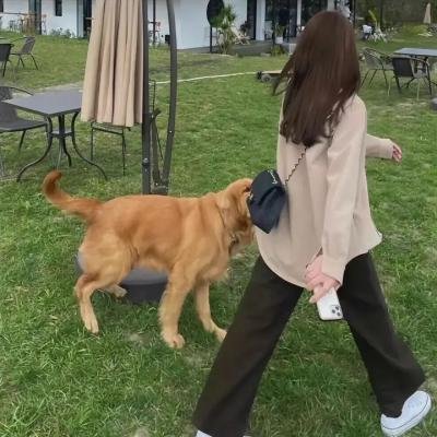 野兰花之恋